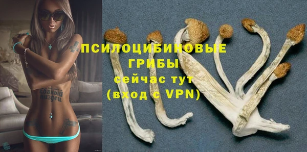 бошки Елабуга
