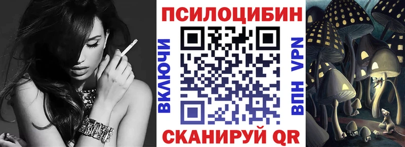 blacksprut сайт Гвардейск Псилоцибиновые грибы MAGIC MUSHROOMS